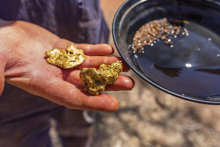 Турция и Казахстан будут искать золото вместе