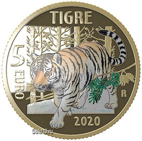 tigre2.jpg