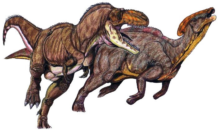 Горгозавр атакует паразауролофа