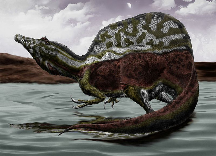Реконструкция спинозавра (фото - ru.wikipedia.org)