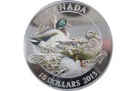 10 долларов – номинал новой монеты «Кряква»