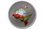 Монета «CONIFA-2016» - в честь футбольной победы Абхазии