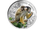 Удивительная обезьяна «попала» на серебряную монету